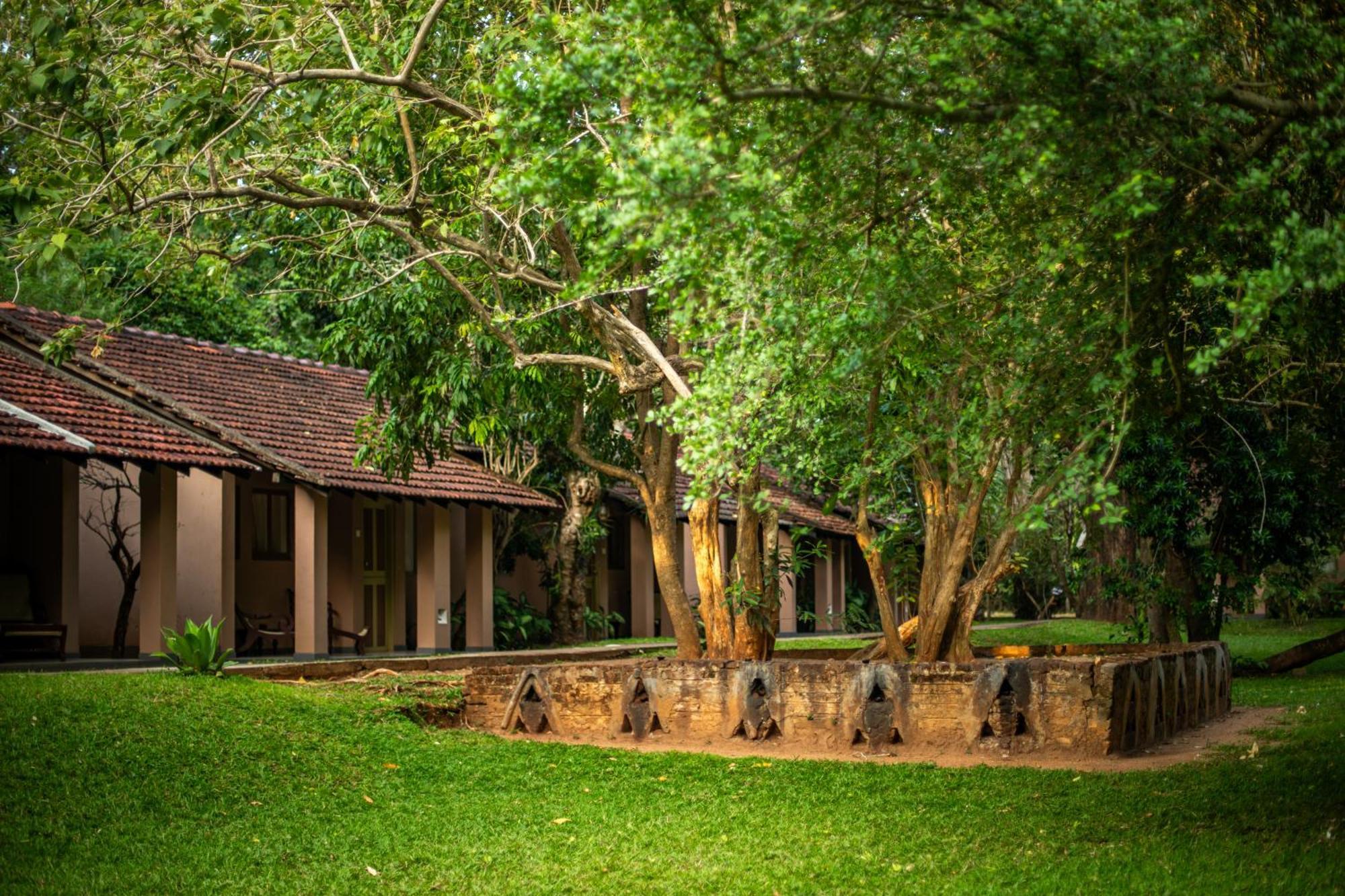 Sigiriya Village מראה חיצוני תמונה