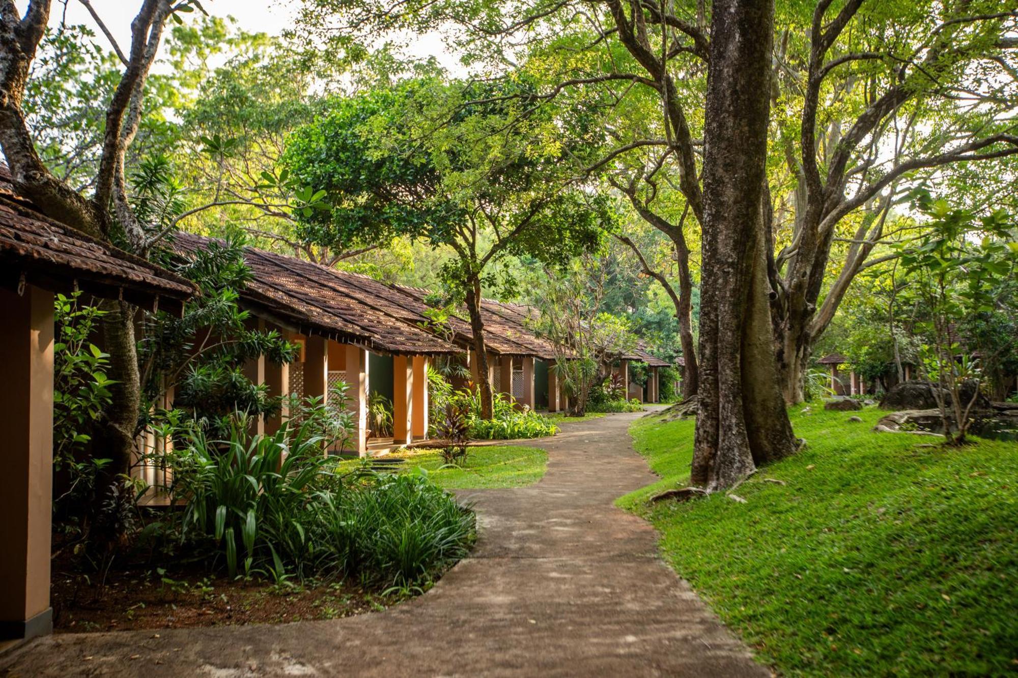 Sigiriya Village מראה חיצוני תמונה