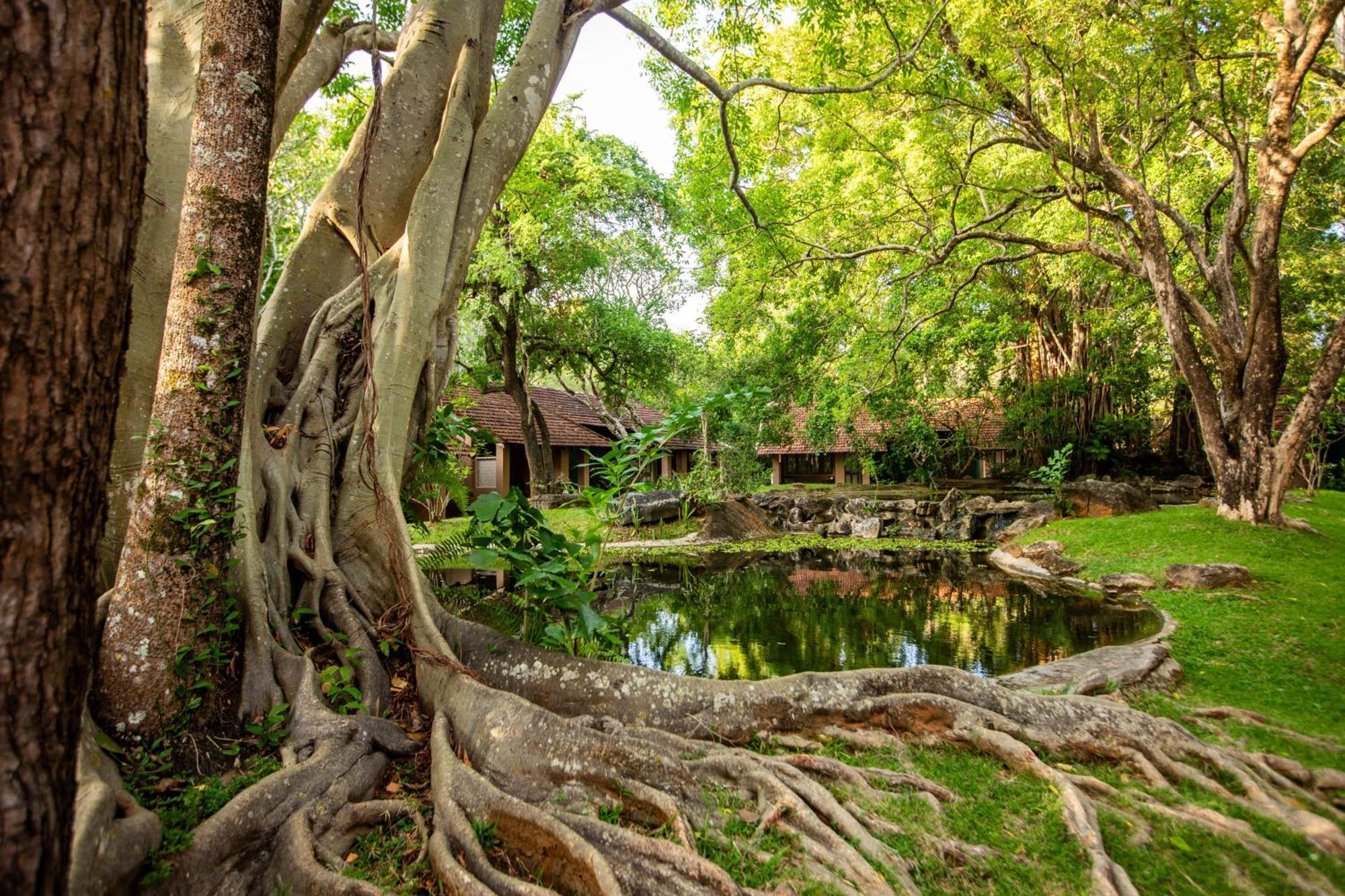 Sigiriya Village מראה חיצוני תמונה