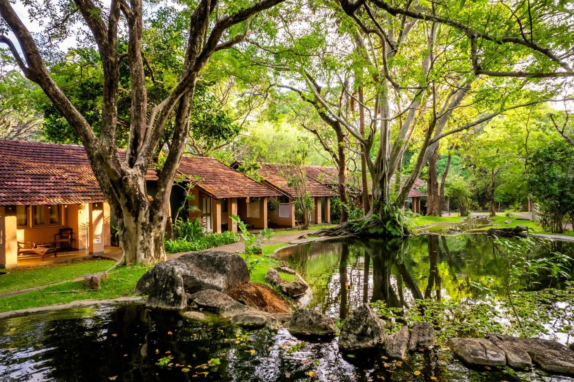 Sigiriya Village מראה חיצוני תמונה